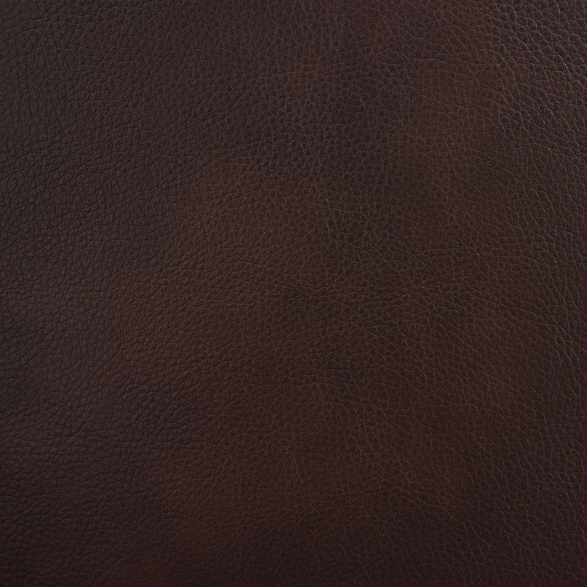 Panther Motion Sofa in Neono Brown