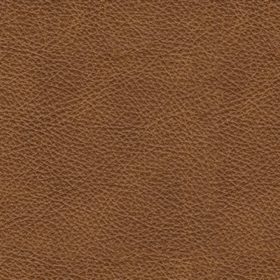 Carianna Oversized Chair - Jack’s Furniture and More (Laredo, TX)