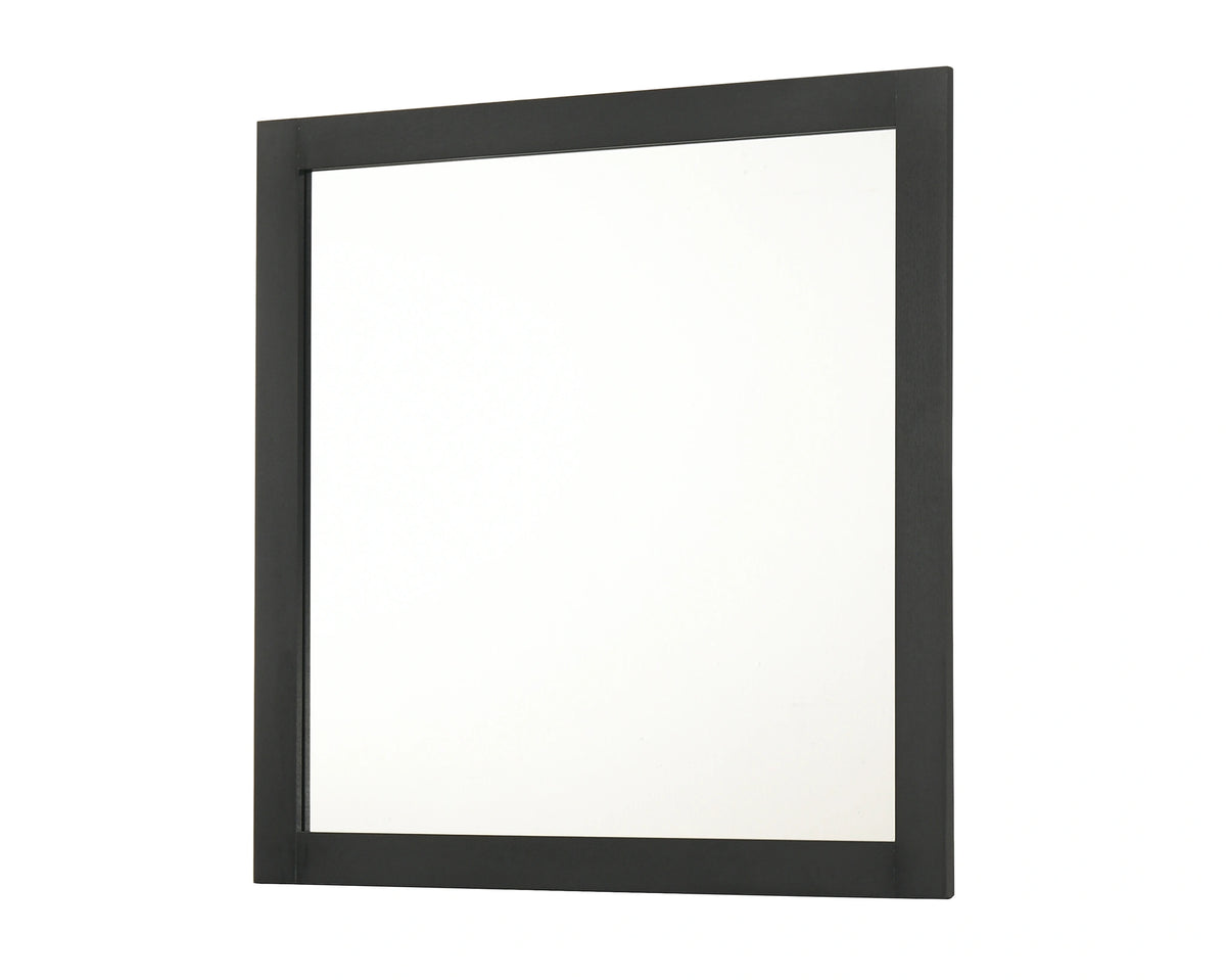 Nemy Dresser Mirror