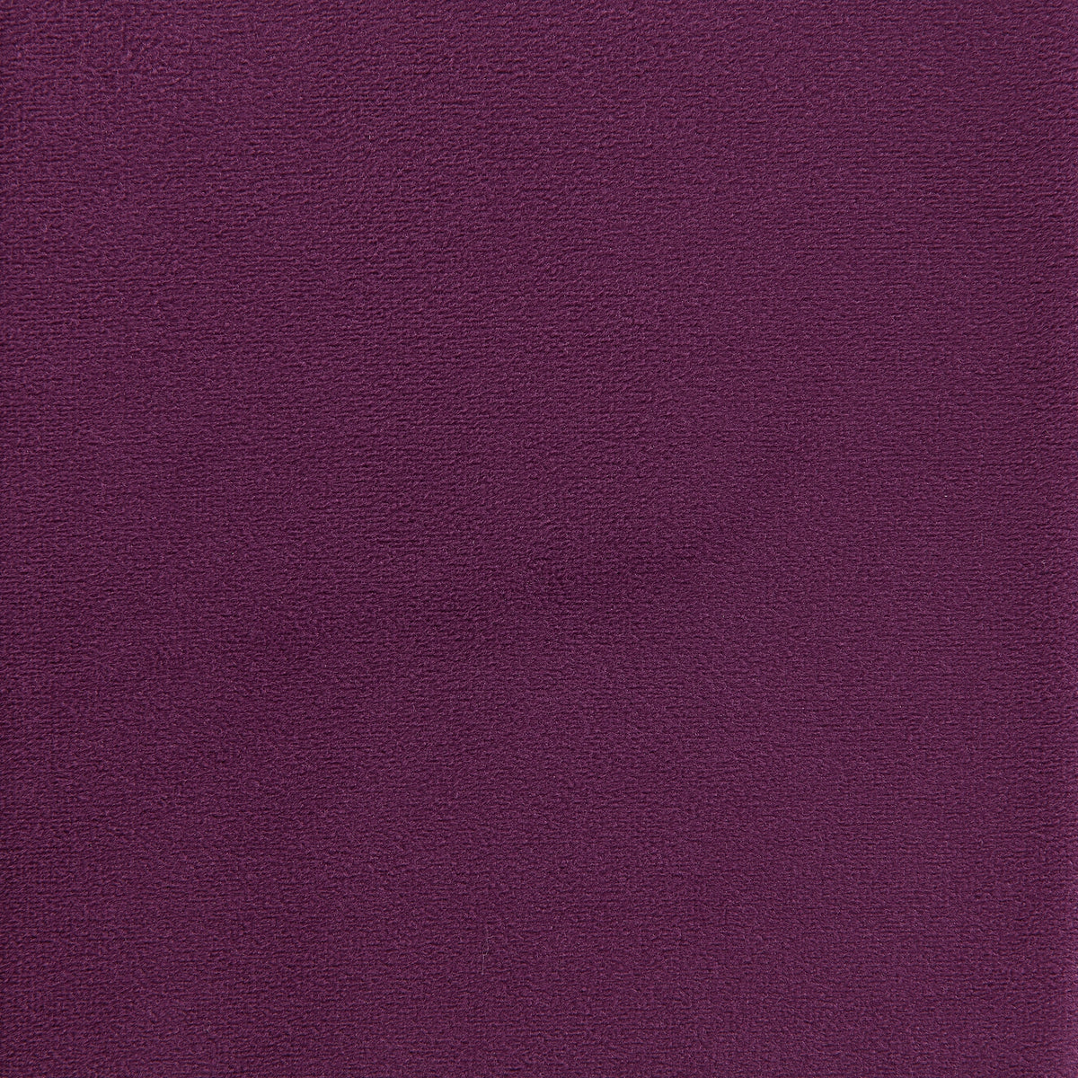 Rae Chair in Lavish 152 Velvet