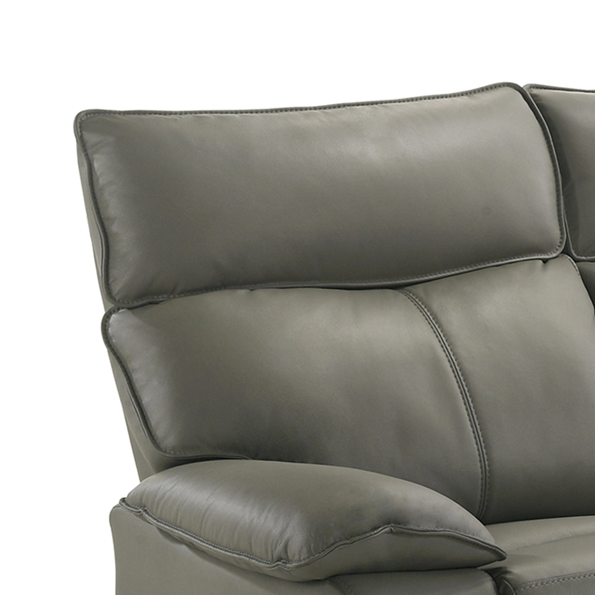 Wildcat Motion Loveseat in Aviarah Grey