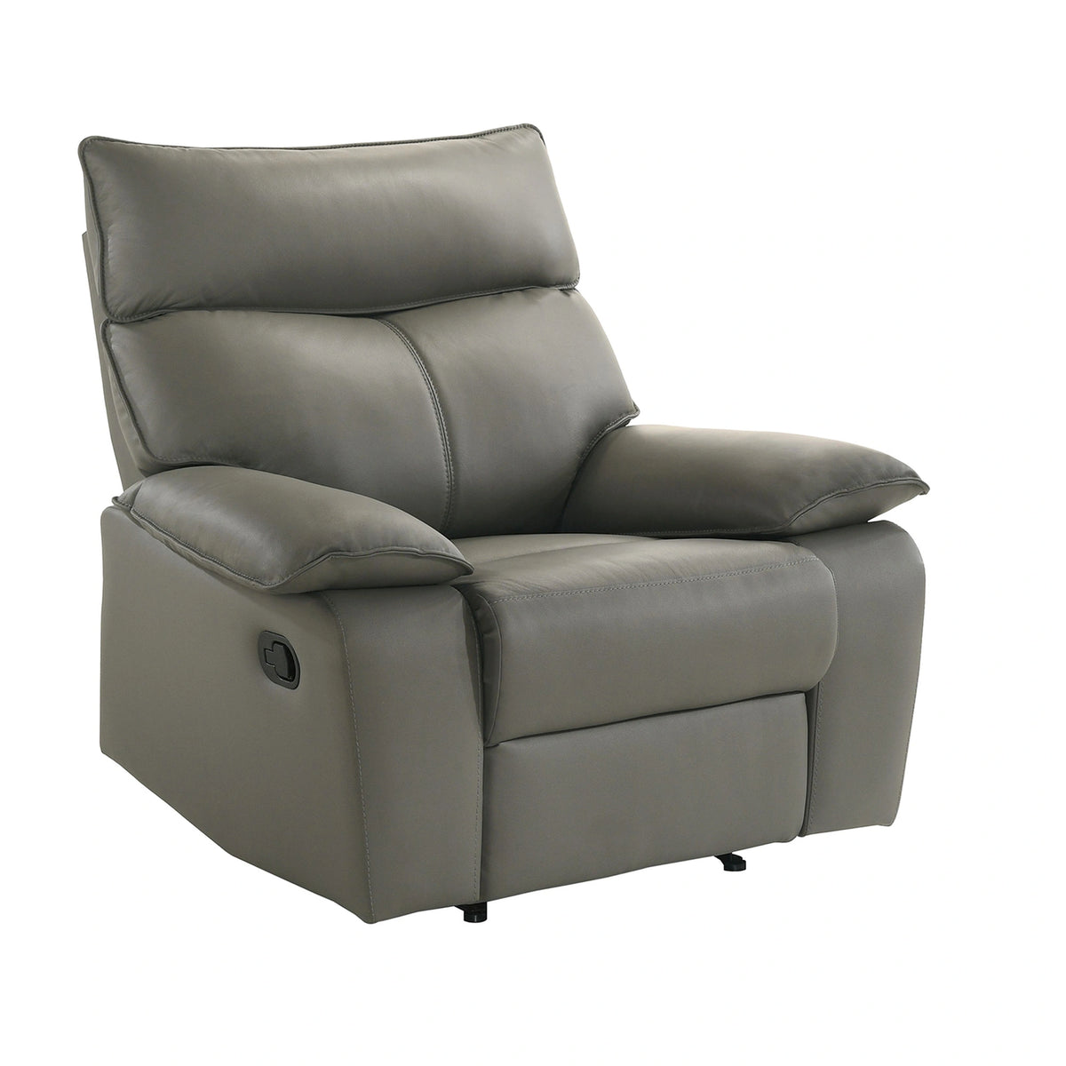Wildcat Motion Recliner in Aviarah Grey