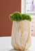 Cammen Vase - Jack’s Furniture and More (Laredo, TX)
