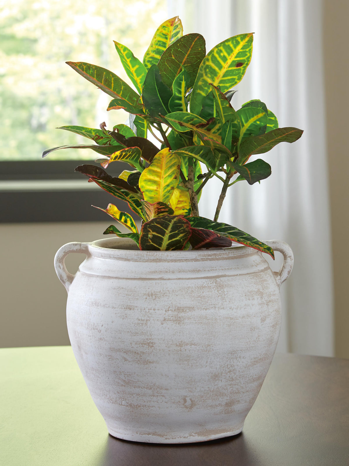 Meadie Vase - Jack’s Furniture and More (Laredo, TX)