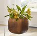 Capard Vase - Jack’s Furniture and More (Laredo, TX)