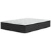 Palisades Plush Mattress - Jack’s Furniture and More (Laredo, TX)