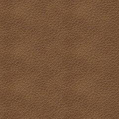 Bolsena Sofa Sleeper - Jack’s Furniture and More (Laredo, TX)