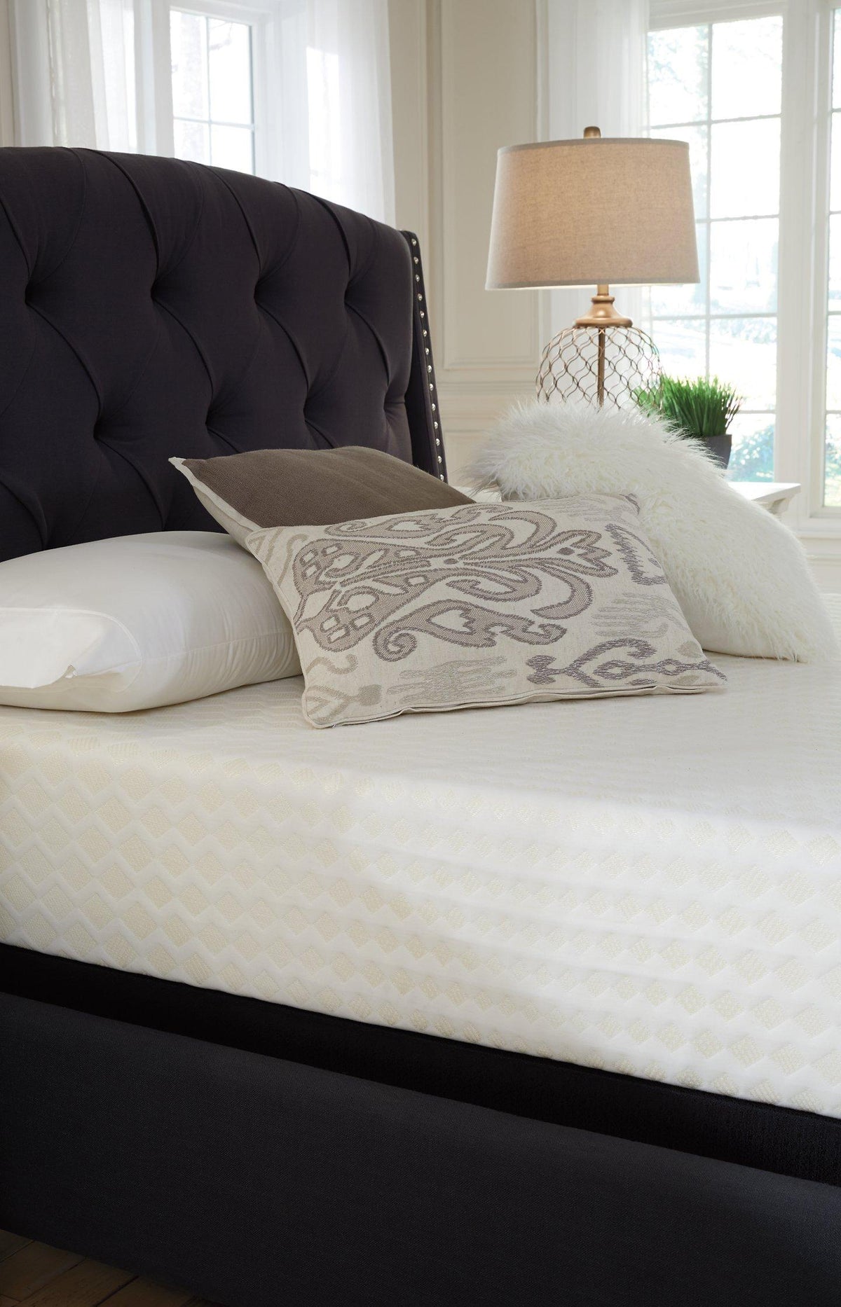 10 Inch Chime Memory Foam Mattress in a Box - Jack’s Furniture and More (Laredo, TX)