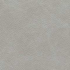 Amiata Upholstery Package - Jack’s Furniture and More (Laredo, TX)