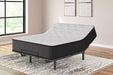 Palisades Plush Mattress - Jack’s Furniture and More (Laredo, TX)