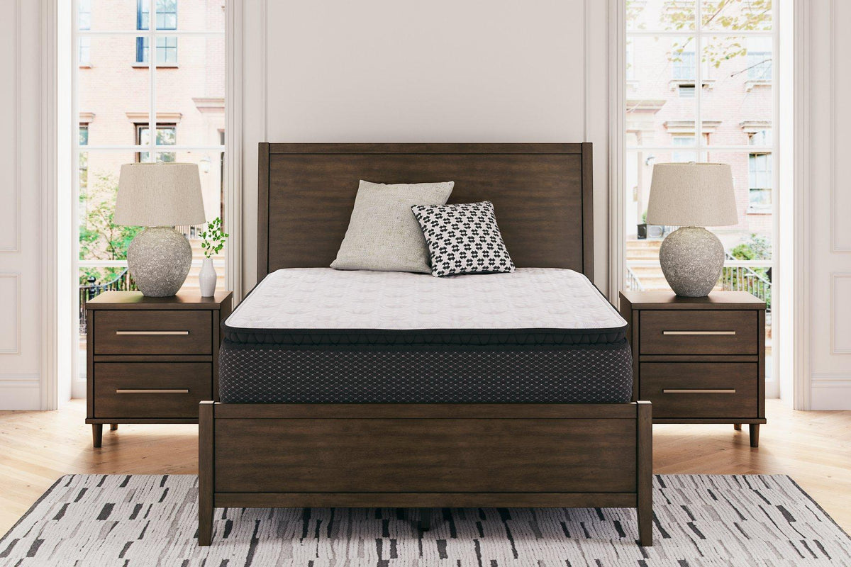 Limited Edition PT Mattress - Jack’s Furniture and More (Laredo, TX)
