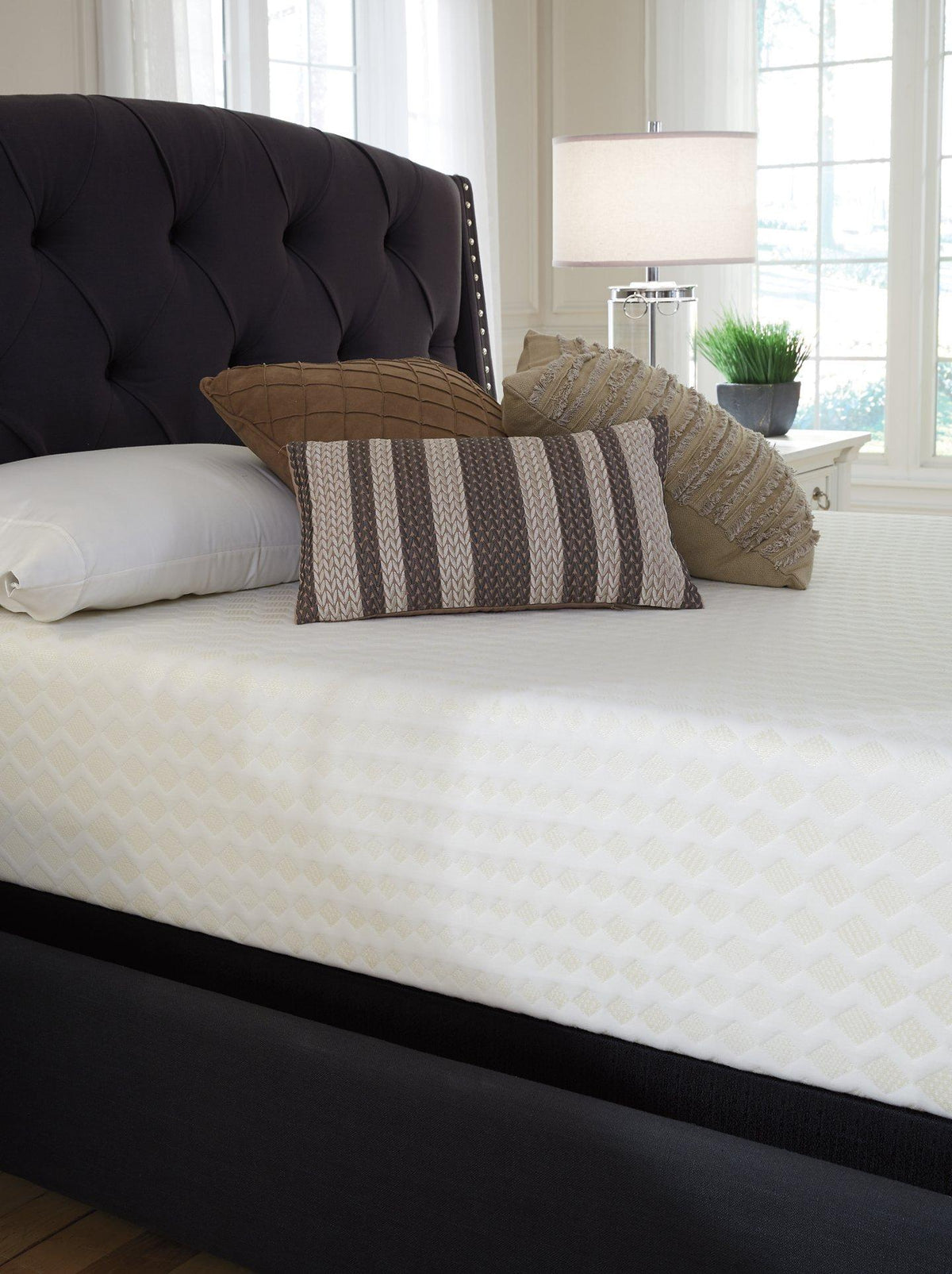 Chime 12 Inch Memory Foam Mattress in a Box - Jack’s Furniture and More (Laredo, TX)