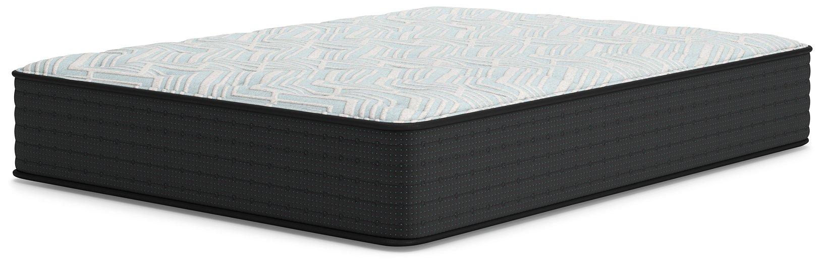Palisades Plush Mattress - Jack’s Furniture and More (Laredo, TX)