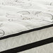 Socalle Bed and Mattress Set - Jack’s Furniture and More (Laredo, TX)