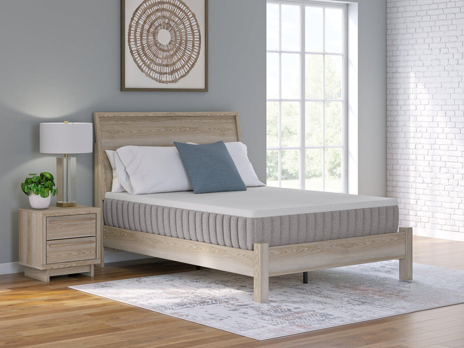 Terra Sleep Firm Mattress - Jack’s Furniture and More (Laredo, TX)