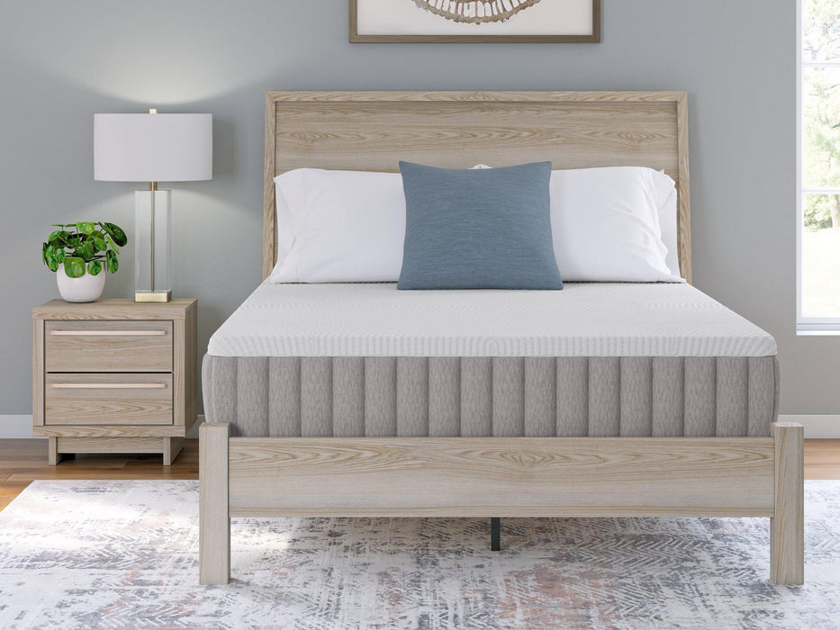 Terra Sleep Firm Mattress - Jack’s Furniture and More (Laredo, TX)