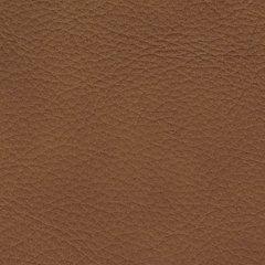 Magic Man 5-Piece Power Reclining Sectional - Jack’s Furniture and More (Laredo, TX)