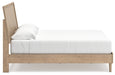 Cielden Bed - Jack’s Furniture and More (Laredo, TX)