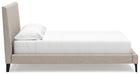 Cielden Upholstered Bed with Roll Slats - Jack’s Furniture and More (Laredo, TX)