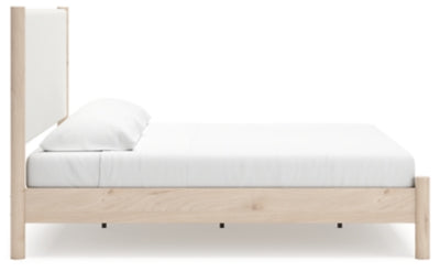 Cadmori Upholstered Bed - Jack’s Furniture and More (Laredo, TX)