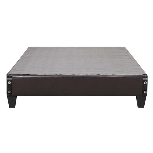 Abby Queen Platform Bed - Jack’s Furniture and More (Laredo, TX)