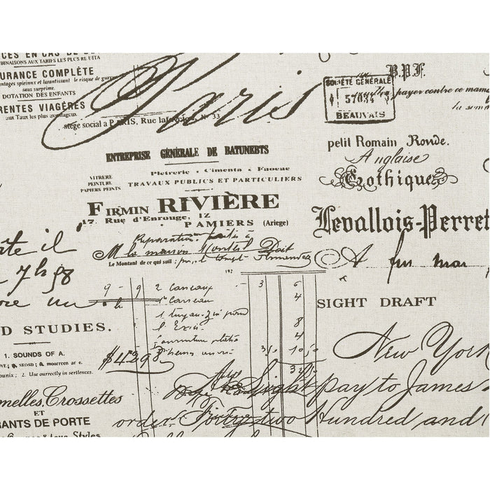 Erica 497 Ottoman W/Chrome Nail French Script (ISTA 3) - Jack’s Furniture and More (Laredo, TX)