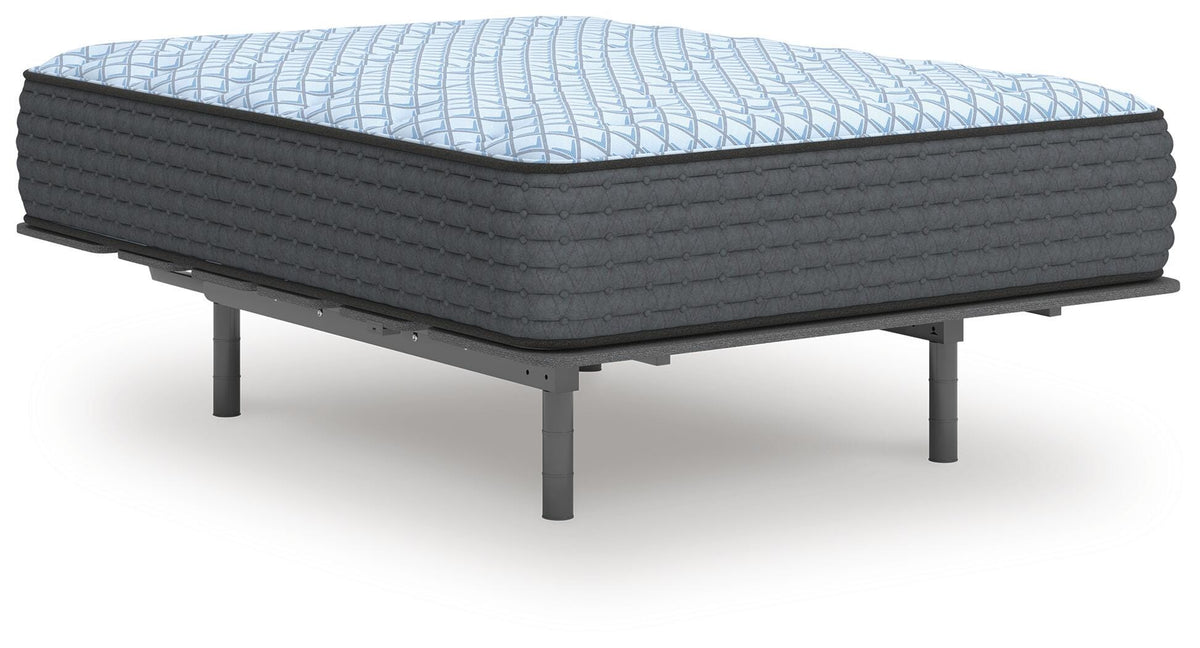 Destin Cove Plush Mattress - Jack’s Furniture and More (Laredo, TX)