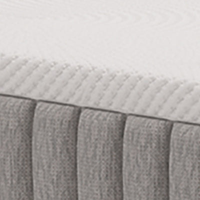 Terra Sleep Soft Mattress - Jack’s Furniture and More (Laredo, TX)