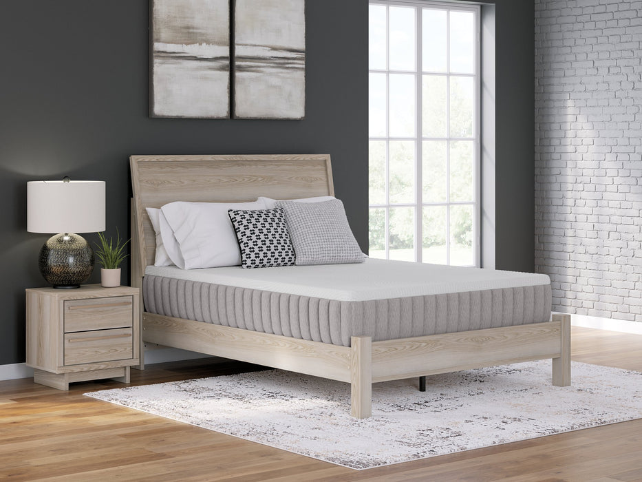 Terra Sleep Medium Mattress - Jack’s Furniture and More (Laredo, TX)