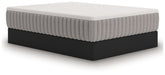 Terra Sleep Soft Mattress - Jack’s Furniture and More (Laredo, TX)