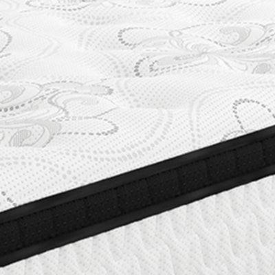 Chime 12 Inch Hybrid Mattress in a Box - Jack’s Furniture and More (Laredo, TX)