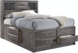 Elements International Emily Grey Twin Storage Bed in Gray EG170TB image