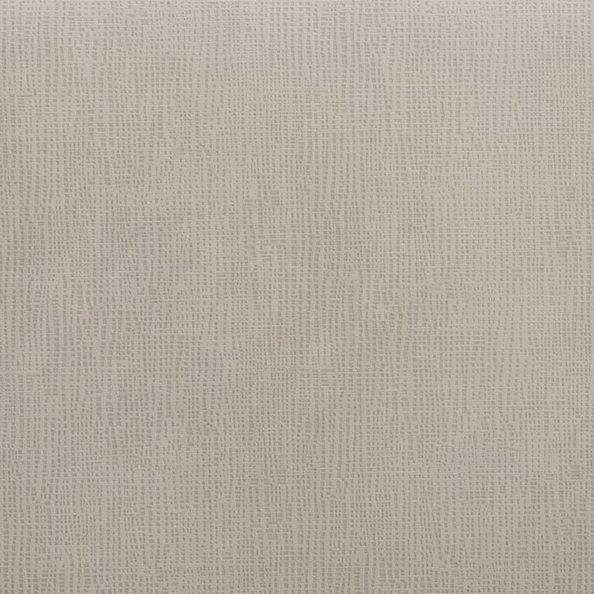 Maxwell Side Chair (Set of 2) in Champagne - Jack’s Furniture and More (Laredo, TX)