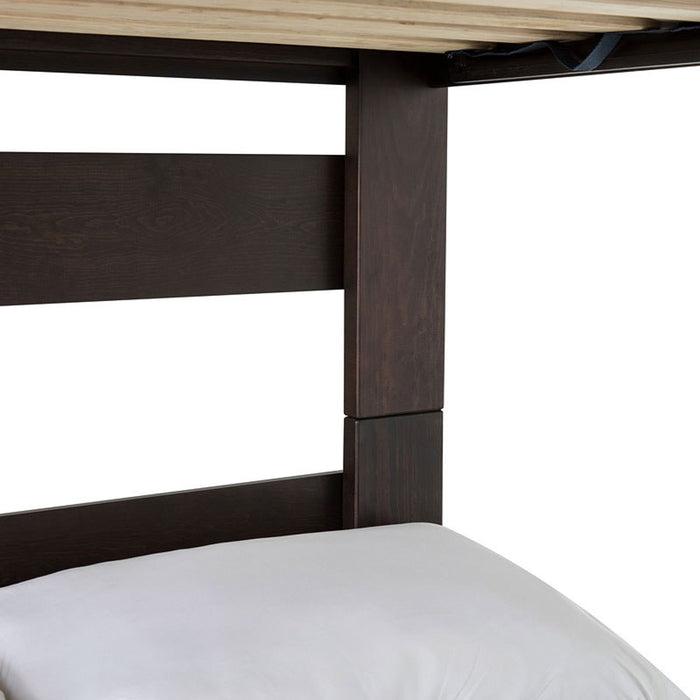 Vista Twin over Full Bunk Bed with Ladder in Brown - Jack’s Furniture and More (Laredo, TX)